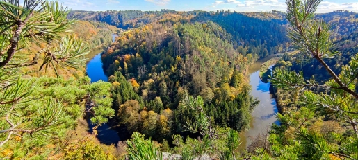 Thayaschlinge bei Ruine Kollmitz bei Raabs/Thaya im Waldviertel